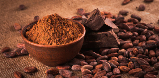 Cacao, elisir di lunga vita