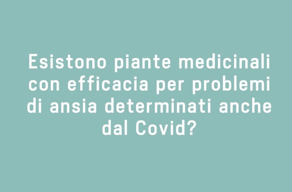 Esistono piante medicinali con efficacia per problemi di ansia determinati anche dal COVID?