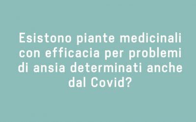 Esistono piante medicinali con efficacia per problemi di ansia determinati anche dal COVID?